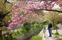 Japan Tour Adventure2