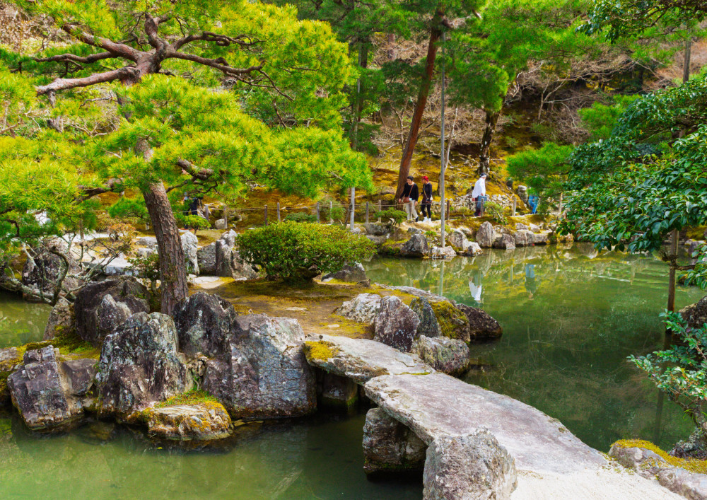 East Kyoto Walking Tour: Philosopher’s Path, Temples & Local Life