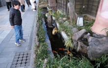 Japan Tour Adventure8