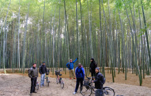 Japan Tour Adventure2