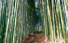 Japan Tour Adventure10