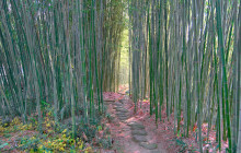 Japan Tour Adventure18