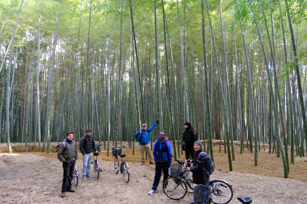 Private Kyoto Cycling Tour of Hidden Bamboo Forests with Lunch