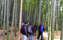 Japan Tour Adventure11