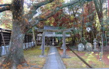 Japan Tour Adventure14