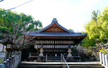 Japan Tour Adventure17