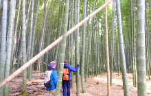 Japan Tour Adventure22