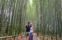 Japan Tour Adventure13