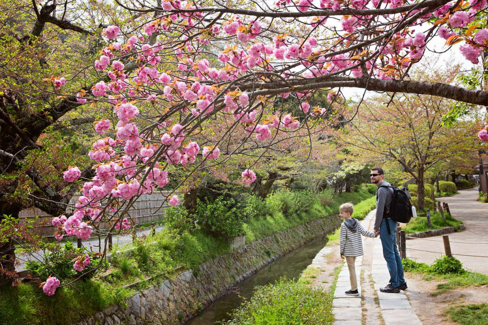 Private East Kyoto Walking Tour with Philosopher’s Path & Local Life