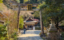 Japan Tour Adventure7