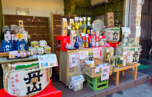 Japan Tour Adventure8