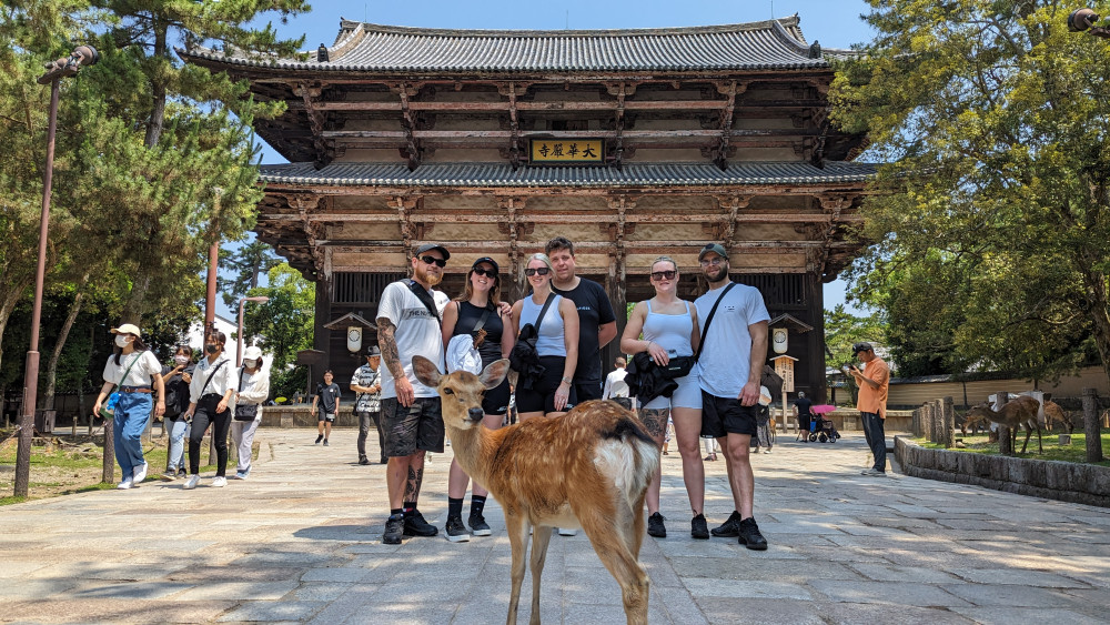 Private Full-Day Nara Walking Tour with Deer, Temples & Tea Ceremony