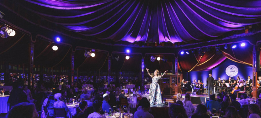 Strauss Dinner Show in Vienna