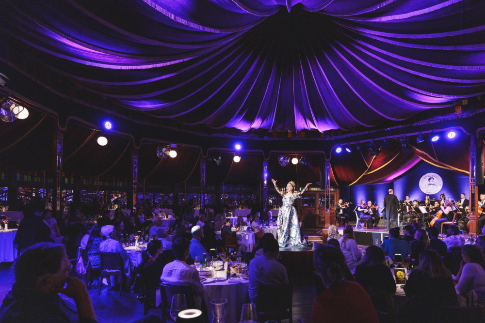 Strauss Dinner Show in Vienna