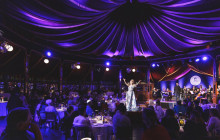 Strauss Dinner Show1