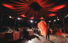 Strauss Dinner Show3