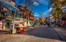 ComFort Tours Cracow27