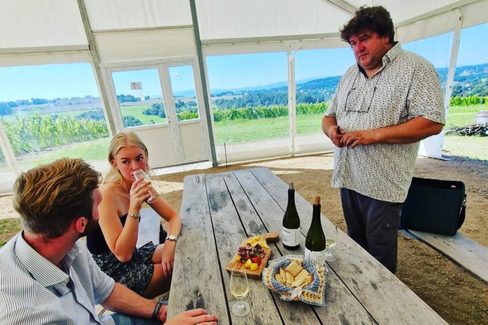 Private Wine Tasting At Vineyard From Krakow