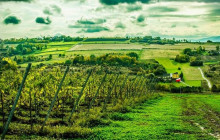 ComFort Tours Cracow4