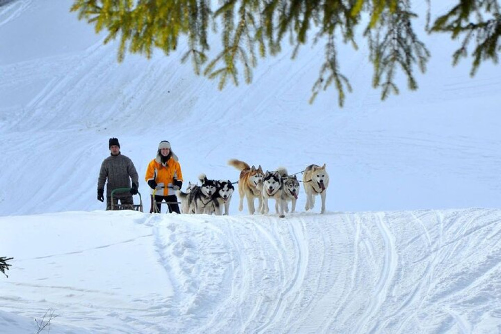 Kraków- An Unforgettable Adventure With Full Dog Sled Ride