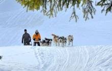 ComFort Tours Cracow1