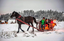 ComFort Tours Cracow1