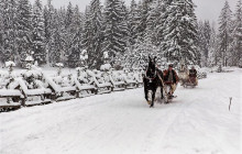 ComFort Tours Cracow4