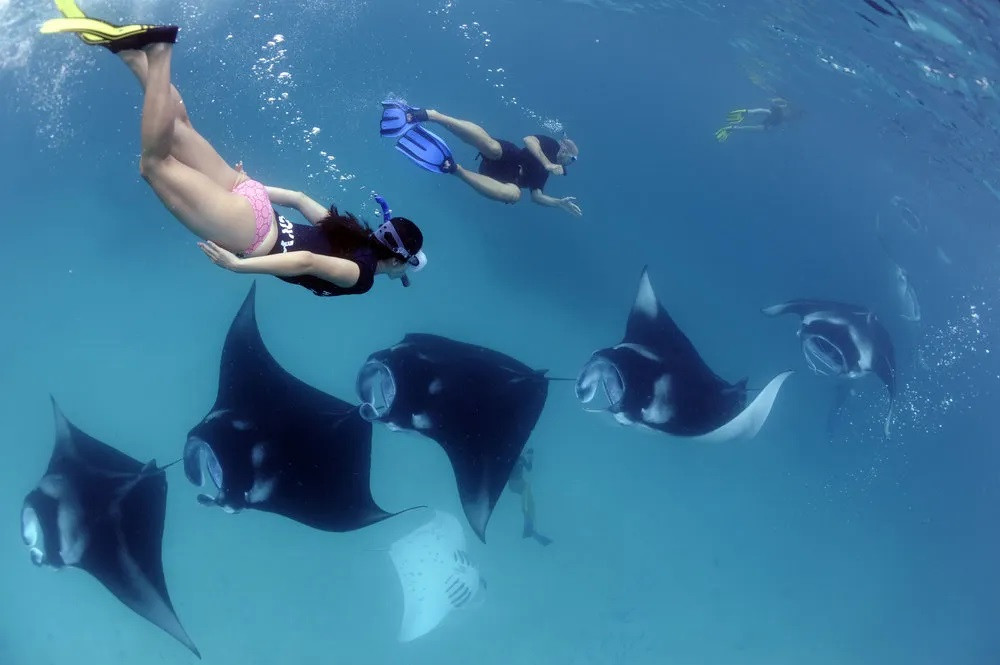 Semi-Private Nusa Penida Snorkeling with Manta Rays Adventure with Lunch