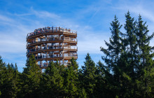 ComFort Tours Cracow8