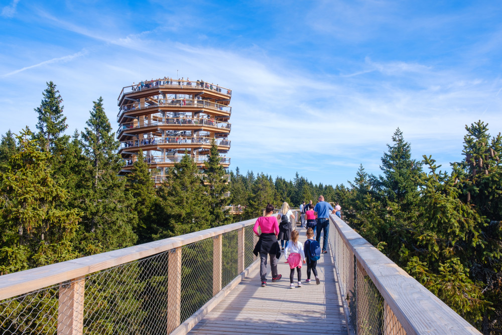 From Krakow: Slovakia Treetop Walk Bachledka Private Tour