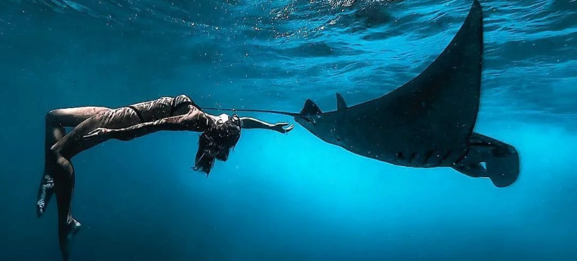 Private Snorkeling in Nusa Penida Tour with Lunch
