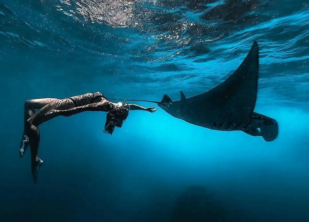 Private Snorkeling in Nusa Penida Tour with Lunch