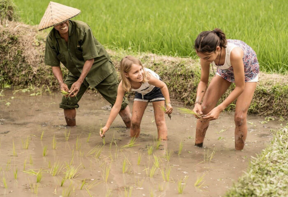 Private Bali Family Adventure: Breakfast With Orangutans & Rice Farming