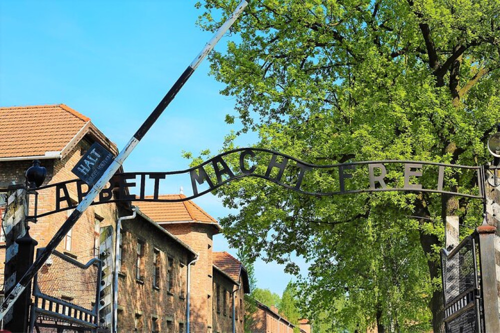 Krakow: Auschwitz Birkenau Museum With Private Transport
