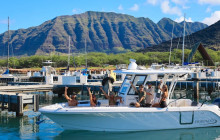 Aloha Ocean2