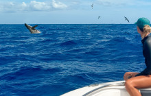 Aloha Ocean5