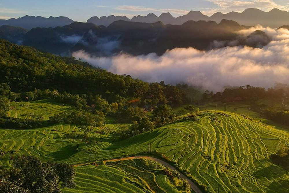 Full-Day Ninh Binh, Tam Coc & Mua Cave Adventure from Hanoi