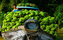 Vietnam Travel Top2