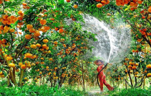 Vietnam Travel Top4