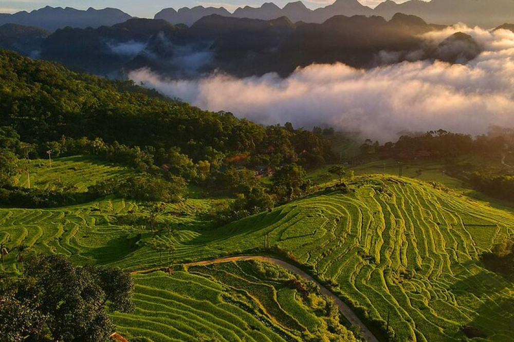 Full-Day Pu Luong Nature Reserve Escape from Hanoi