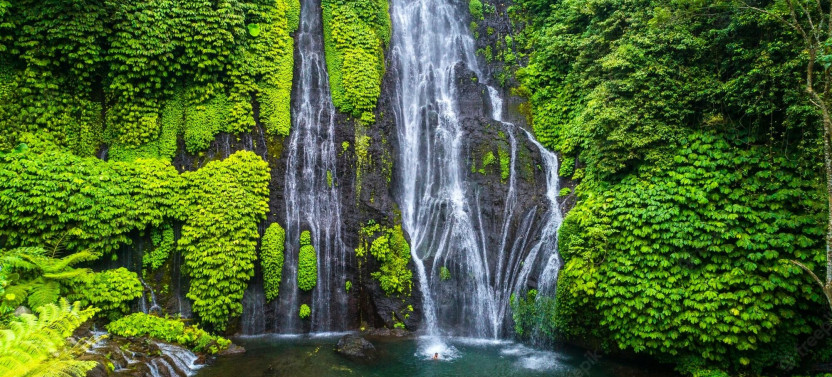 Private Bali Sekumpul & Aling Aling Waterfall Tour with Lunch
