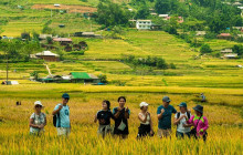 Vietnam Travel Top9