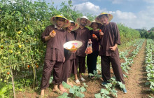Vietnam Travel Top1
