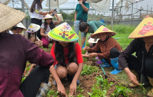 Vietnam Travel Top25