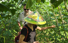Vietnam Travel Top32