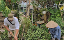 Vietnam Travel Top40