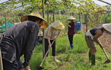 Vietnam Travel Top43
