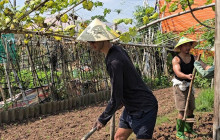 Vietnam Travel Top45