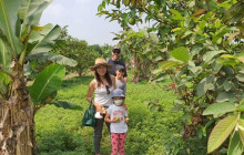 Vietnam Travel Top16
