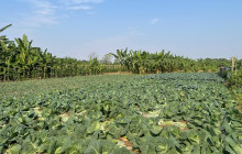 Vietnam Travel Top27